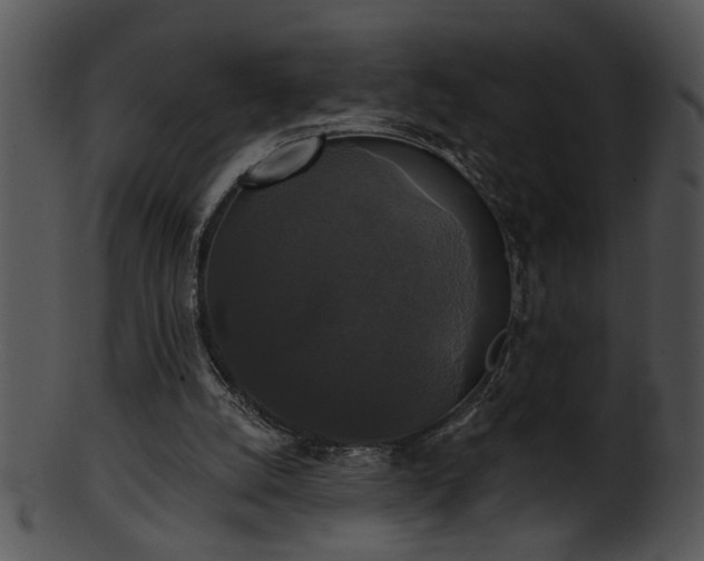 X0000101450056200807141253