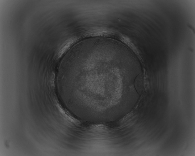 X0000101450058200807141253