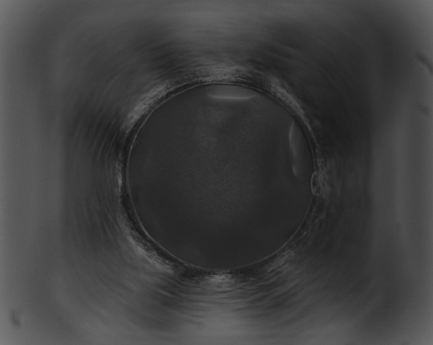 X0000101450059200807141253