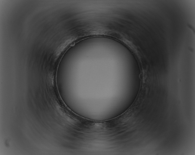 X0000101450060200807141253