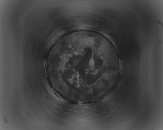 X0000101450061200807141253