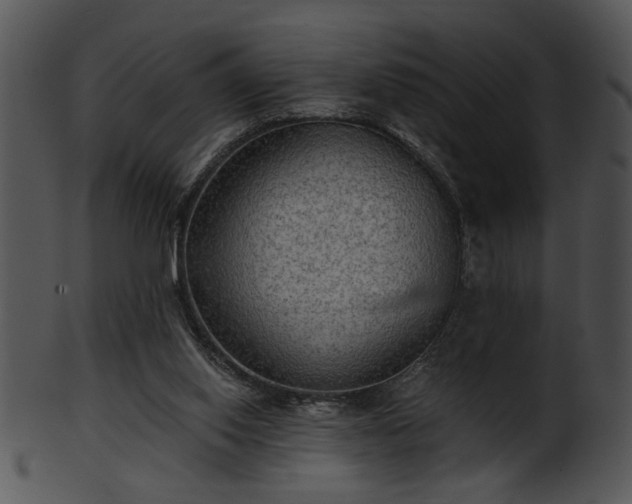 X0000101450062200807141253