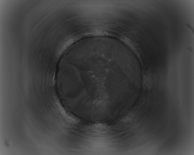 X0000101450063200807141253