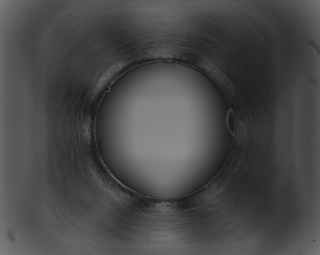 X0000101450064200807141253