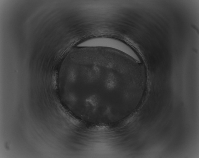 X0000101450065200807141253