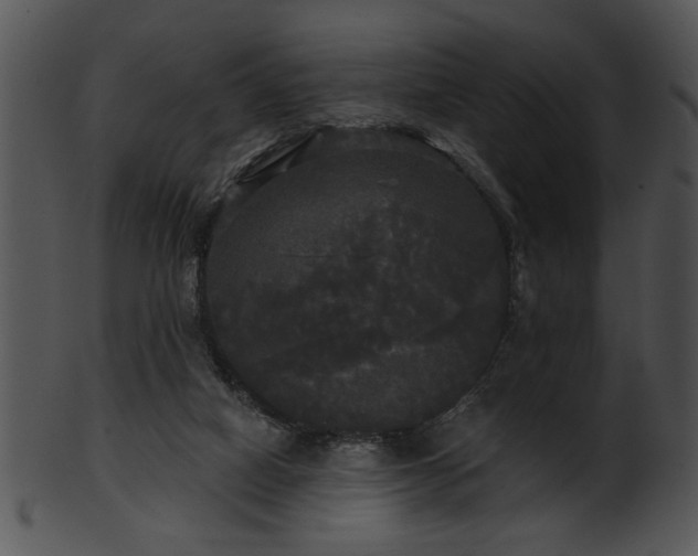 X0000101450066200807141253