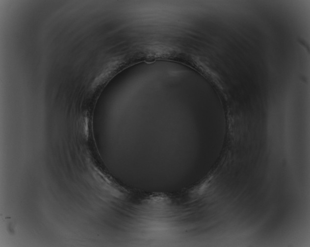 X0000101450067200807141253