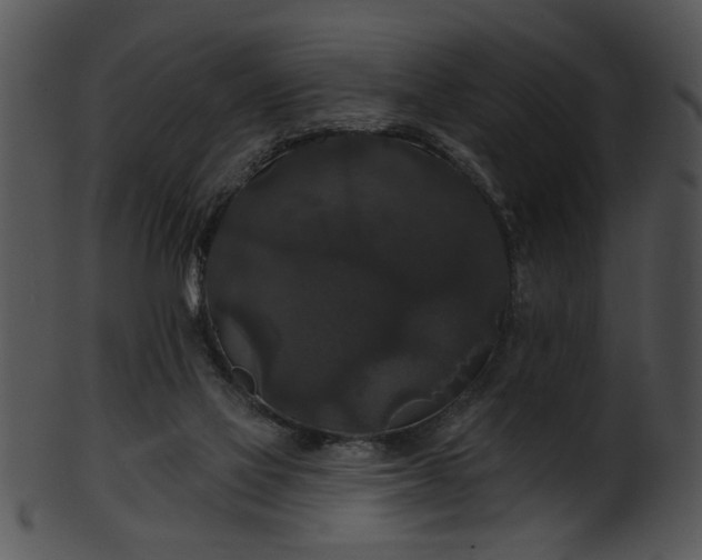 X0000101450069200807141253