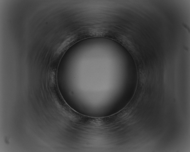 X0000101450071200807141253