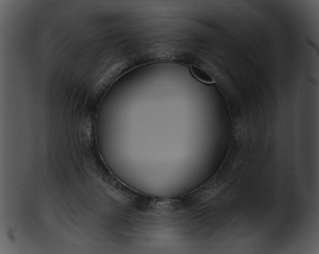 X0000101450072200807141253