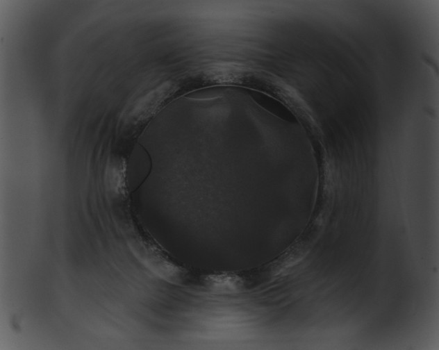 X0000101450073200807141253