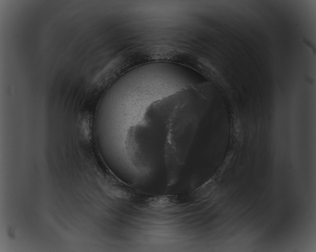 X0000101450074200807141253