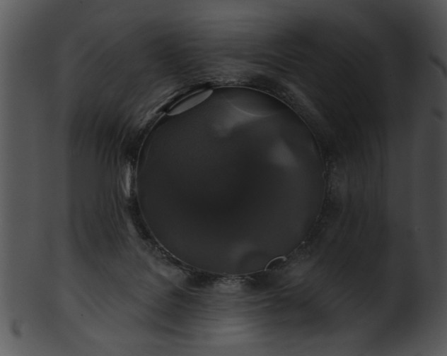 X0000101450076200807141254