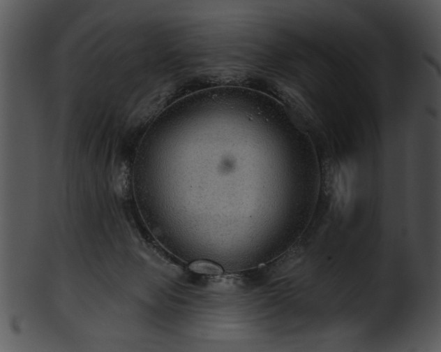 X0000101450077200807141254