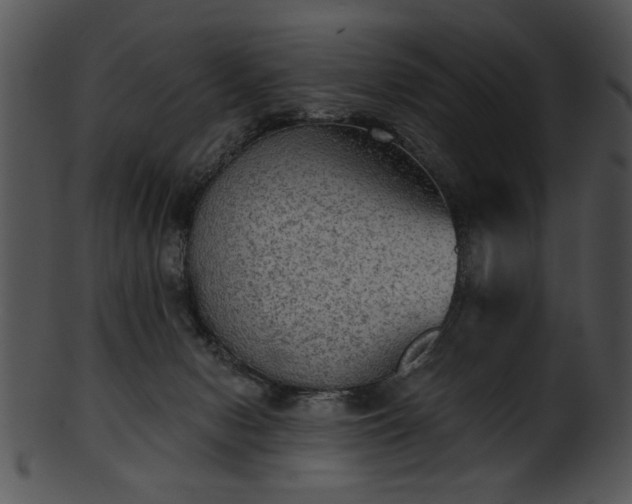 X0000101450078200807141254