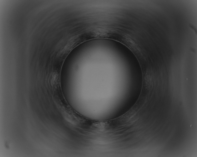 X0000101450079200807141254