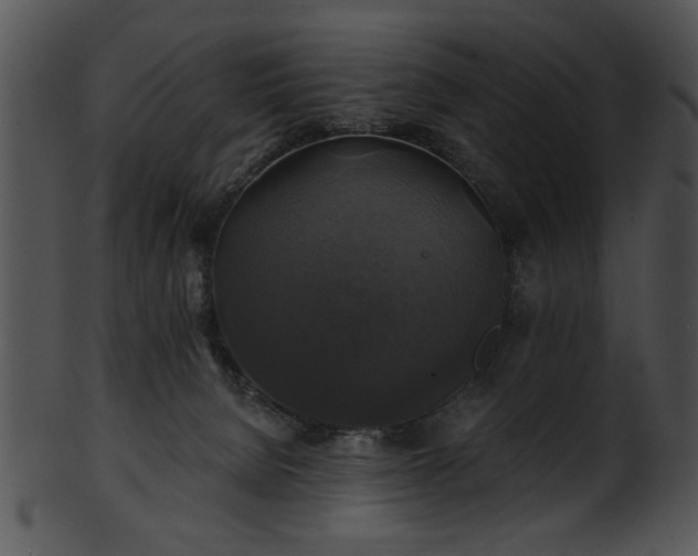 X0000101450080200807141254