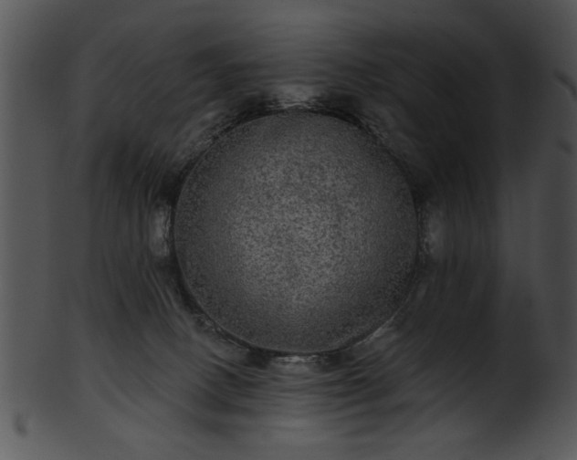 X0000101450082200807141254