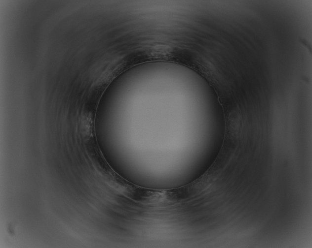 X0000101450083200807141254