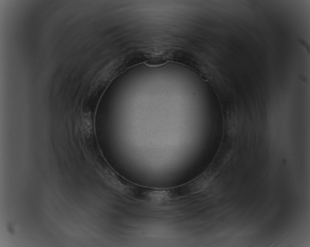 X0000101450085200807141254