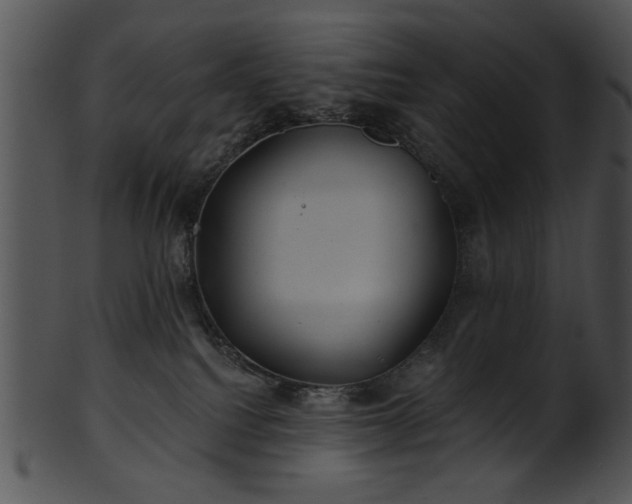 X0000101450088200807141254