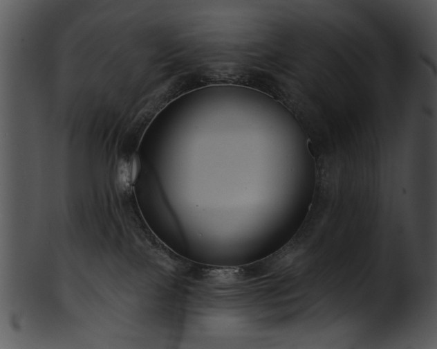 X0000101450089200807141254