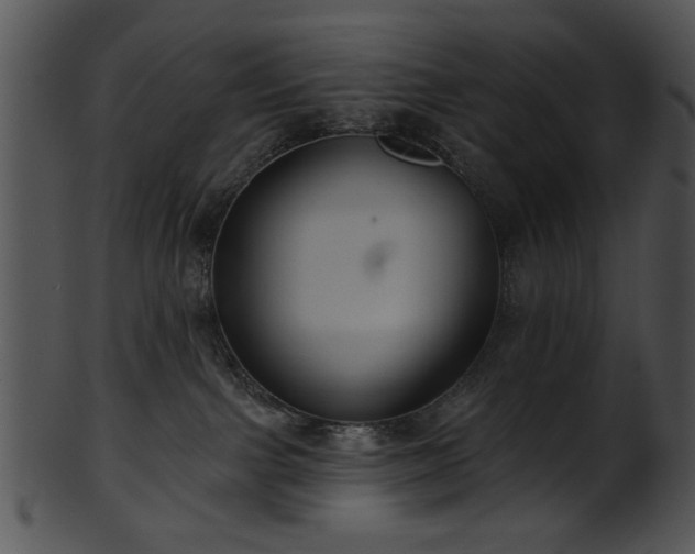 X0000101450091200807141254