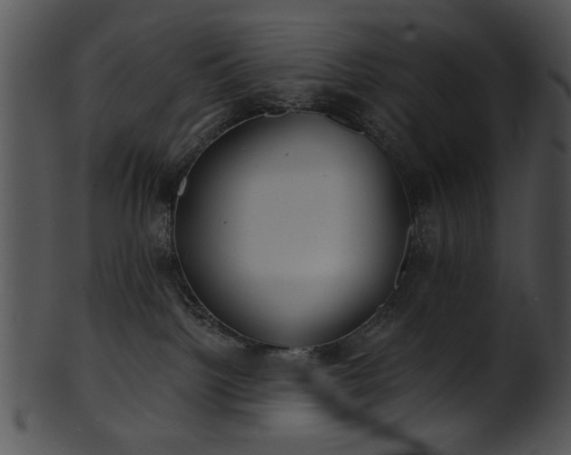 X0000101450092200807141254