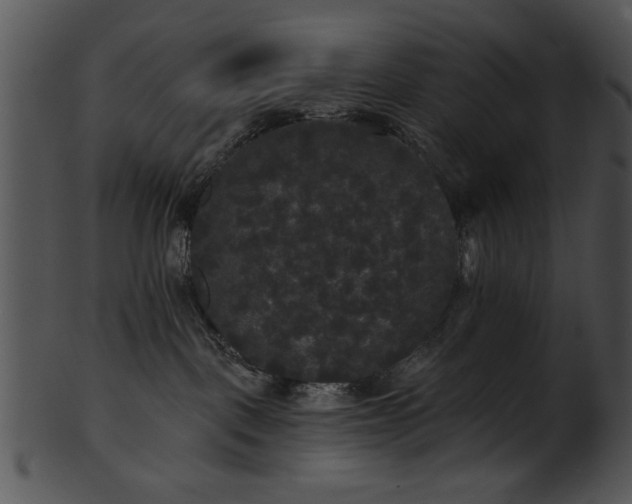 X0000101450093200807141254