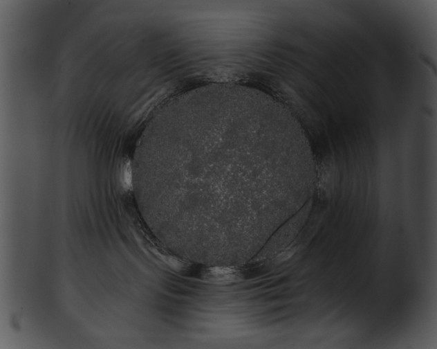 X0000101450095200807141254