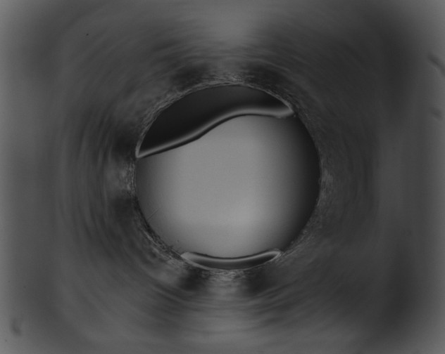 X0000101450096200807141254