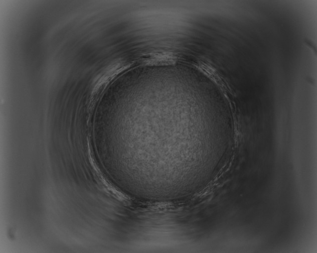 X0000101450097200807141253