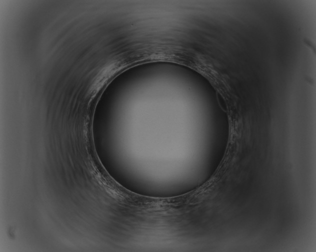 X0000101450098200807141253