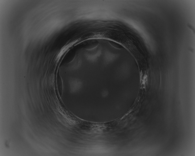 X0000101450099200807141253