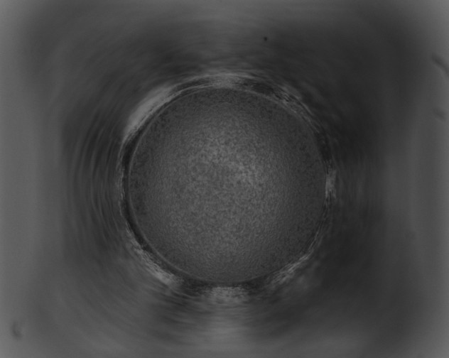 X0000101450101200807141253