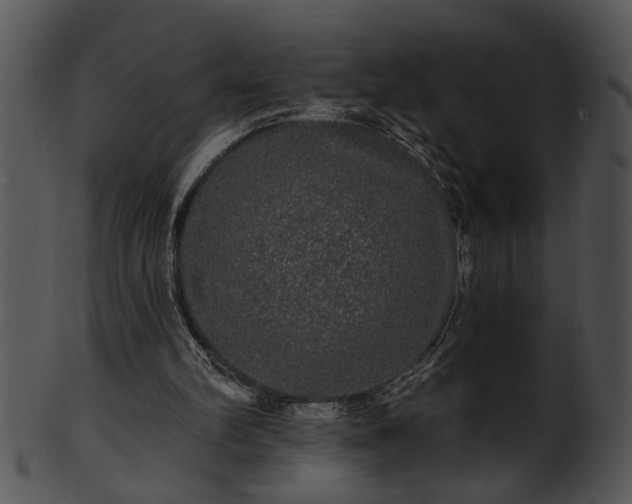 X0000101450102200807141253