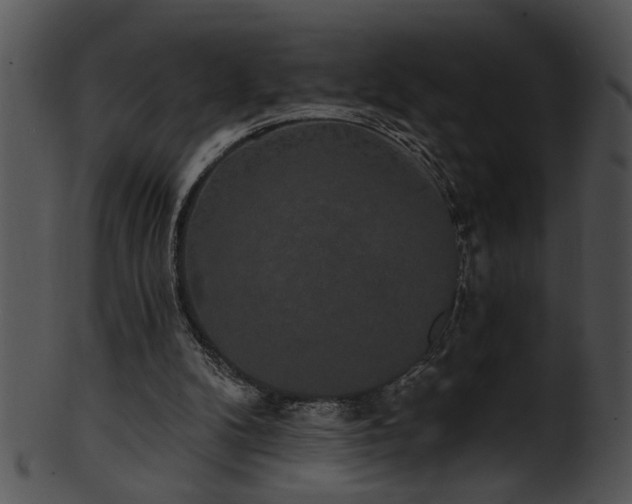 X0000101450104200807141253