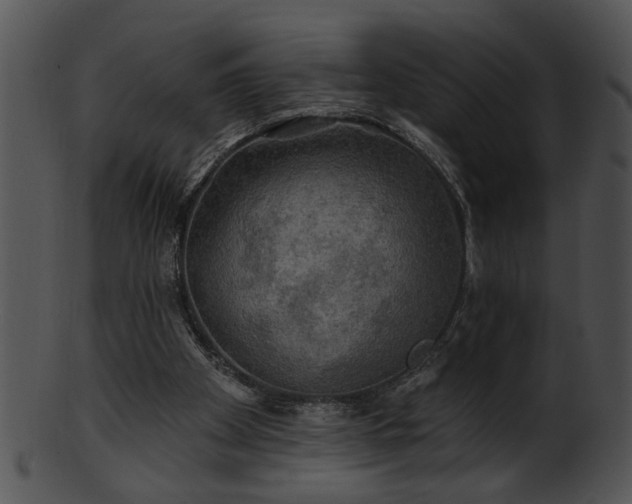 X0000101450105200807141253