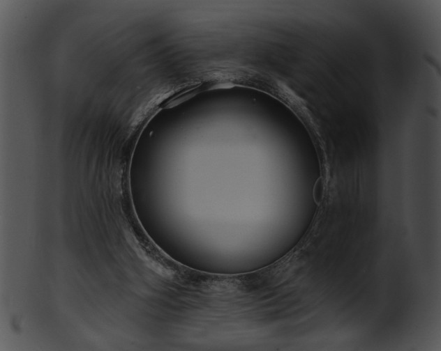 X0000101450106200807141253