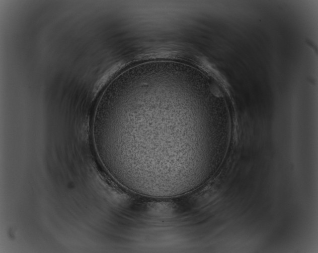 X0000101450107200807141253