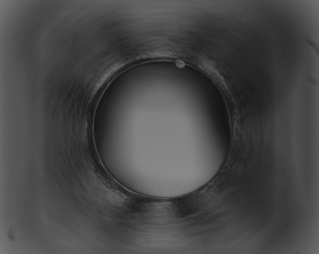 X0000101450108200807141253