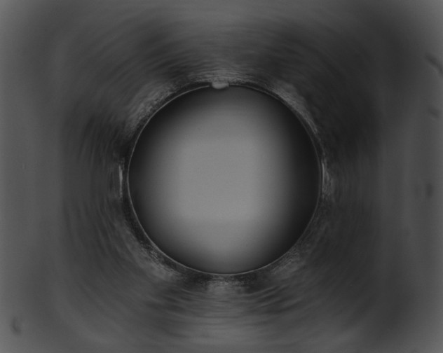 X0000101450109200807141253