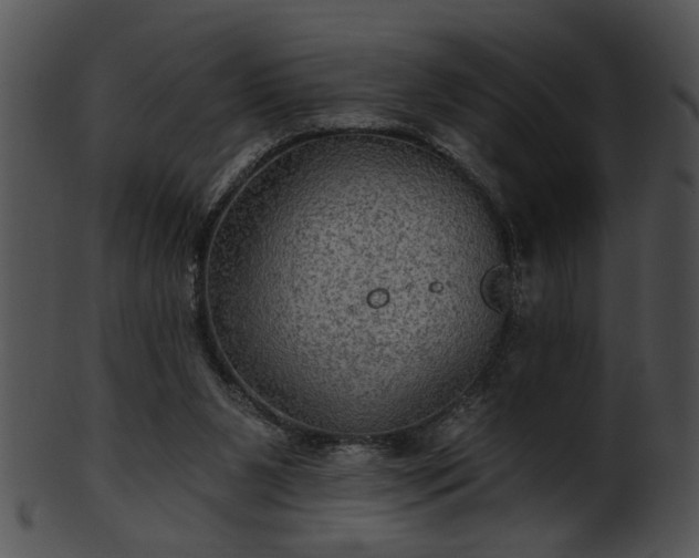 X0000101450111200807141253