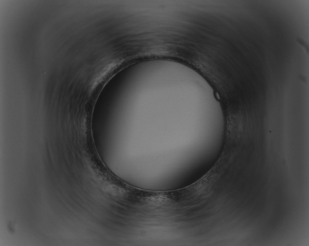 X0000101450112200807141253