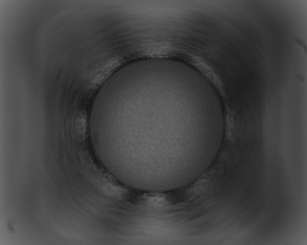 X0000101450113200807141253