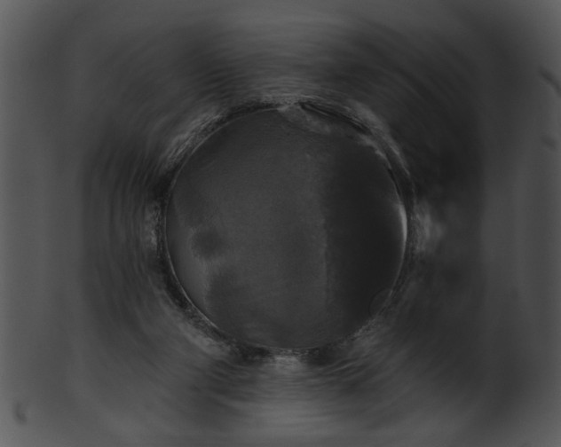 X0000101450114200807141253