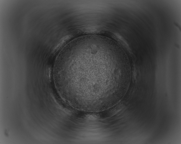 X0000101450115200807141253