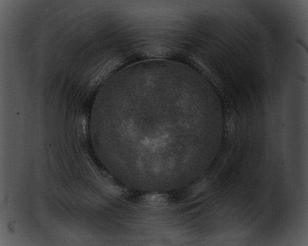 X0000101450117200807141253