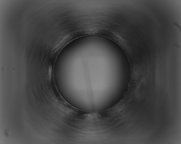 X0000101450118200807141253