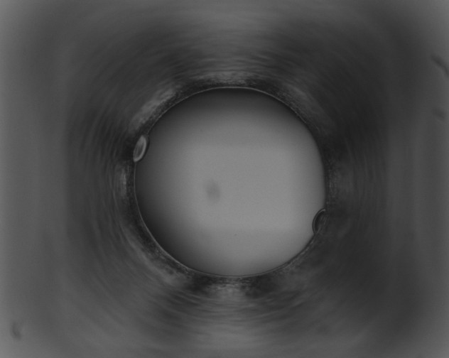 X0000101450120200807141253